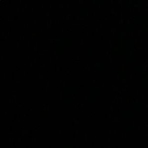 Meet your Posher, Latisha